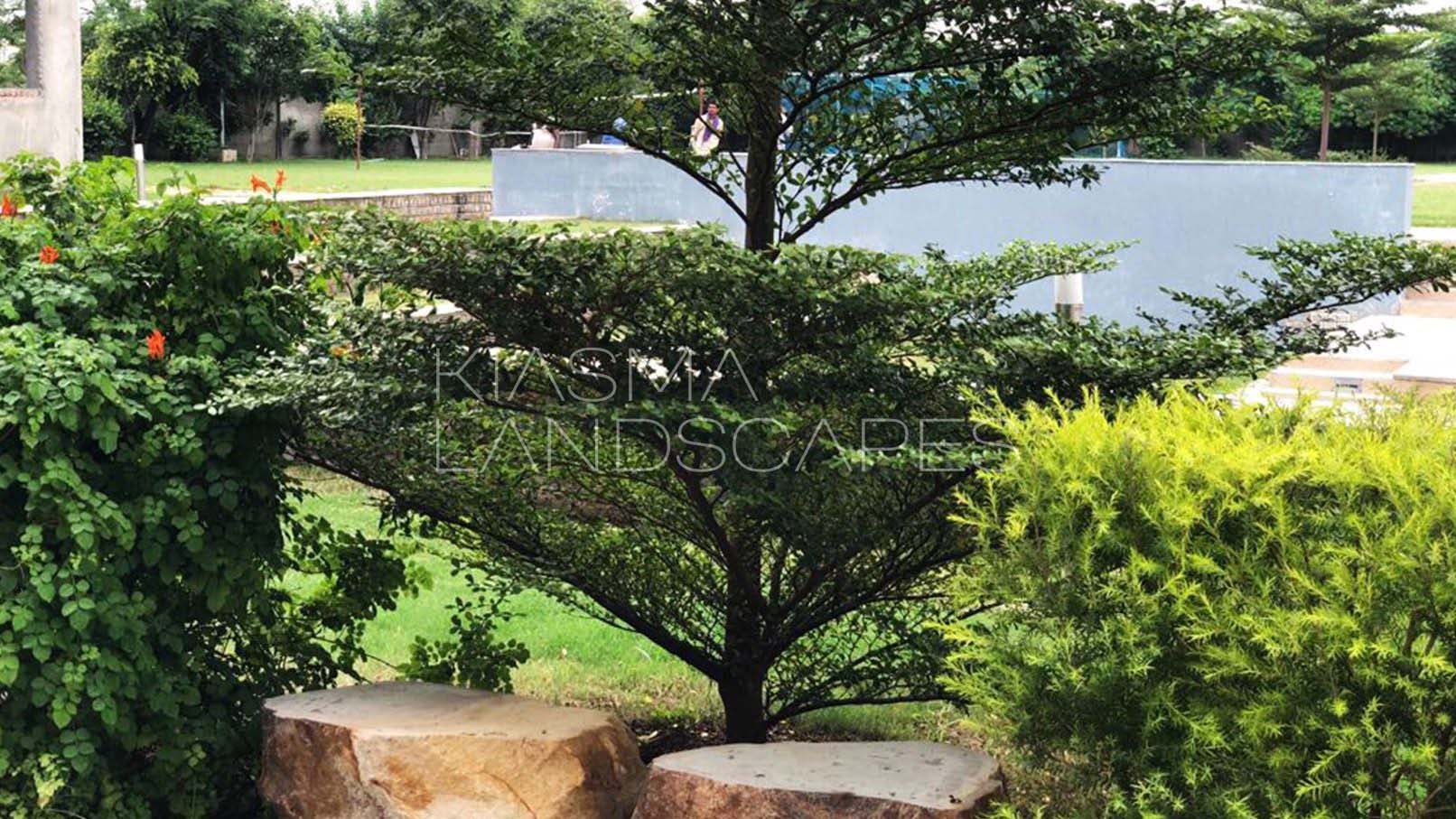 Landscape Architecture Design at GLIM