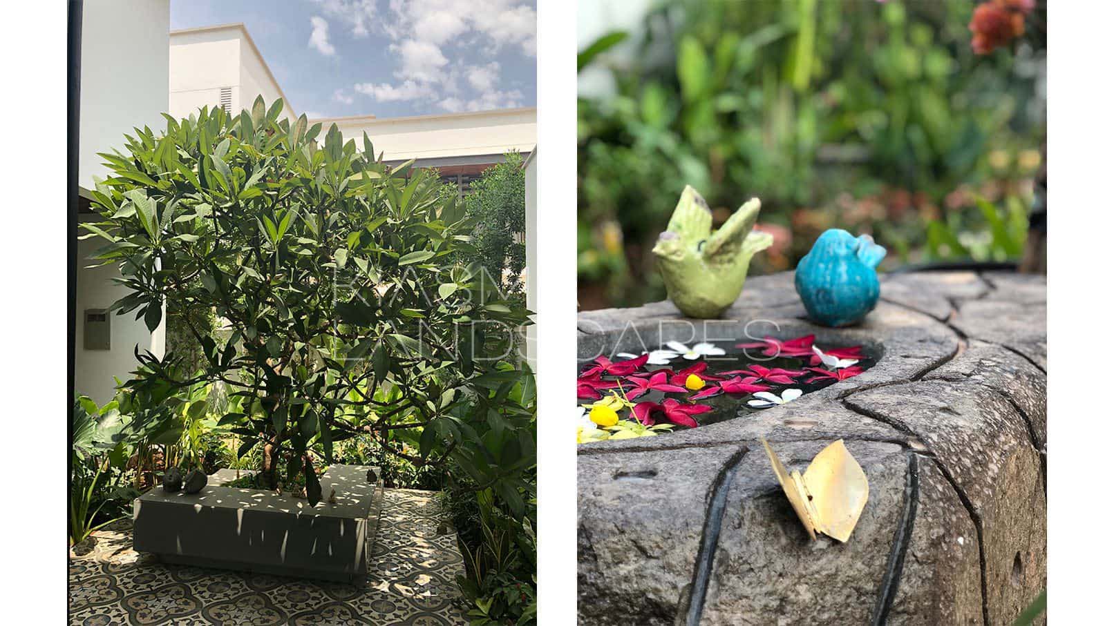 Outside Lakshmi Chalsani Residential Architectural Design