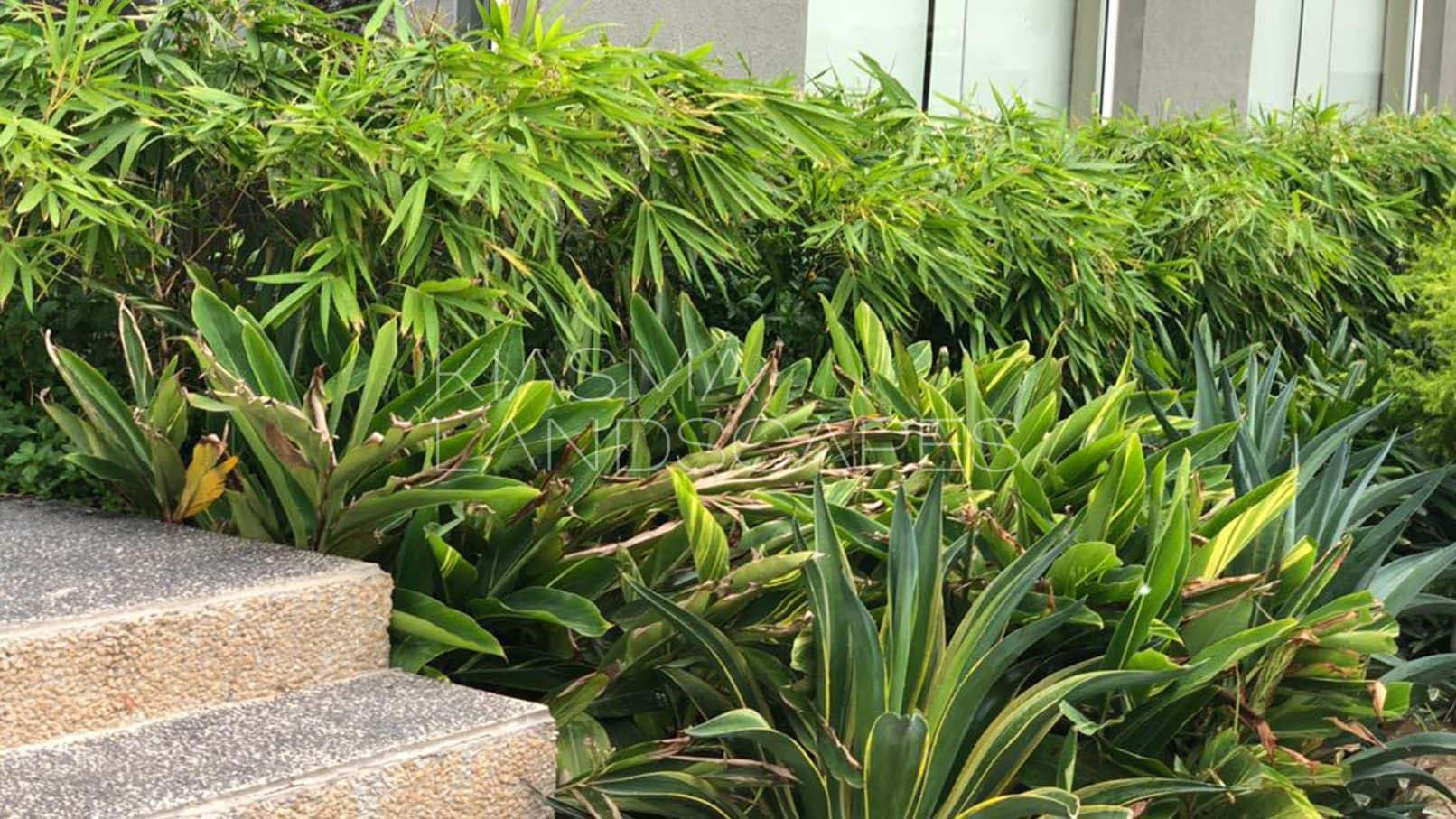 Garden Architecture at GLIM