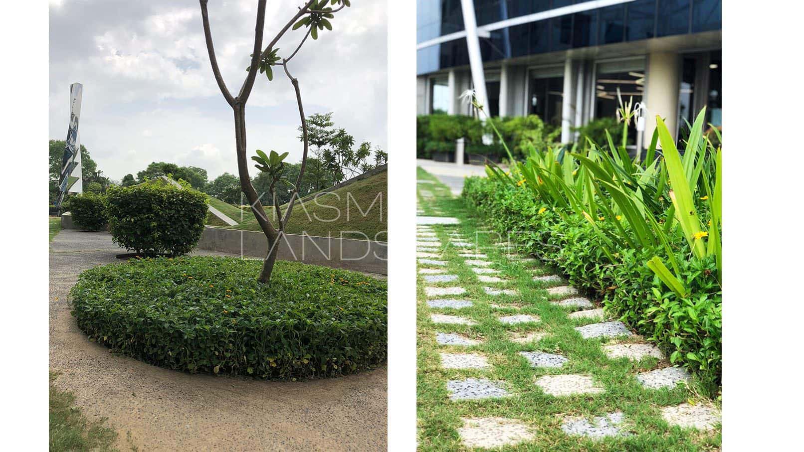 Great Lakes Institute of Management Garden Architectural Design